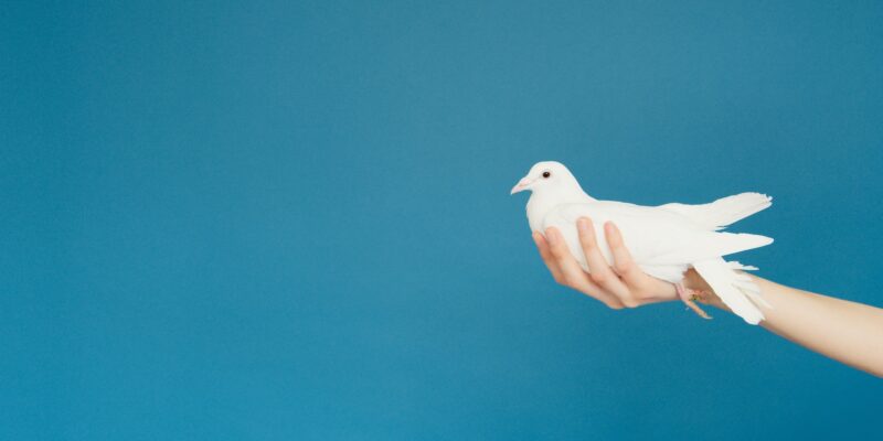 For peace in Ukraine