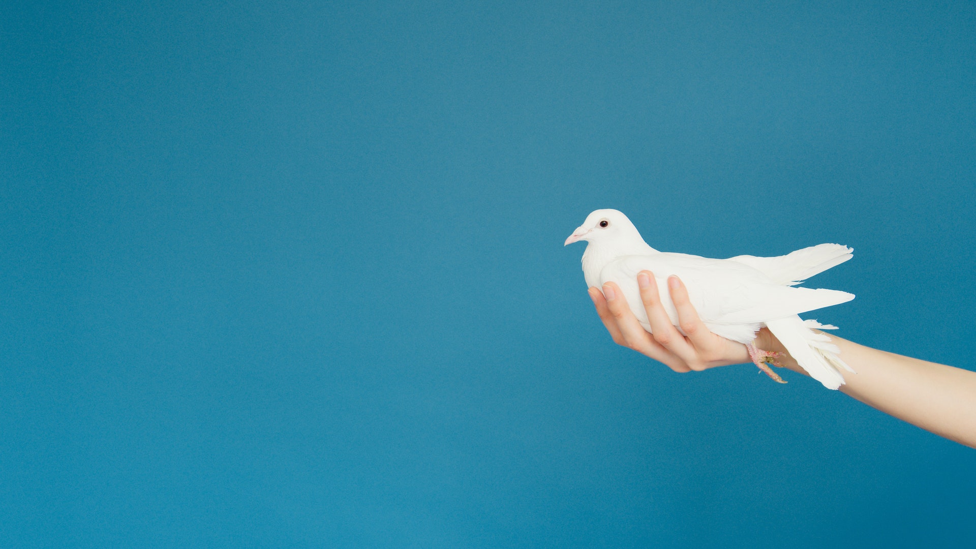 For peace in Ukraine